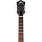 Guild M-20E Concert Acoustic-Electric Guitar Natural