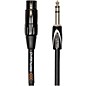 Roland Black Series 1/4" TRS-XLR(Female) Interconnect Cable 10 ft. Black thumbnail