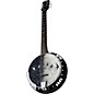 Luna Moonbird BGB 6-String Acoustic-Electric Banjo Satin Black