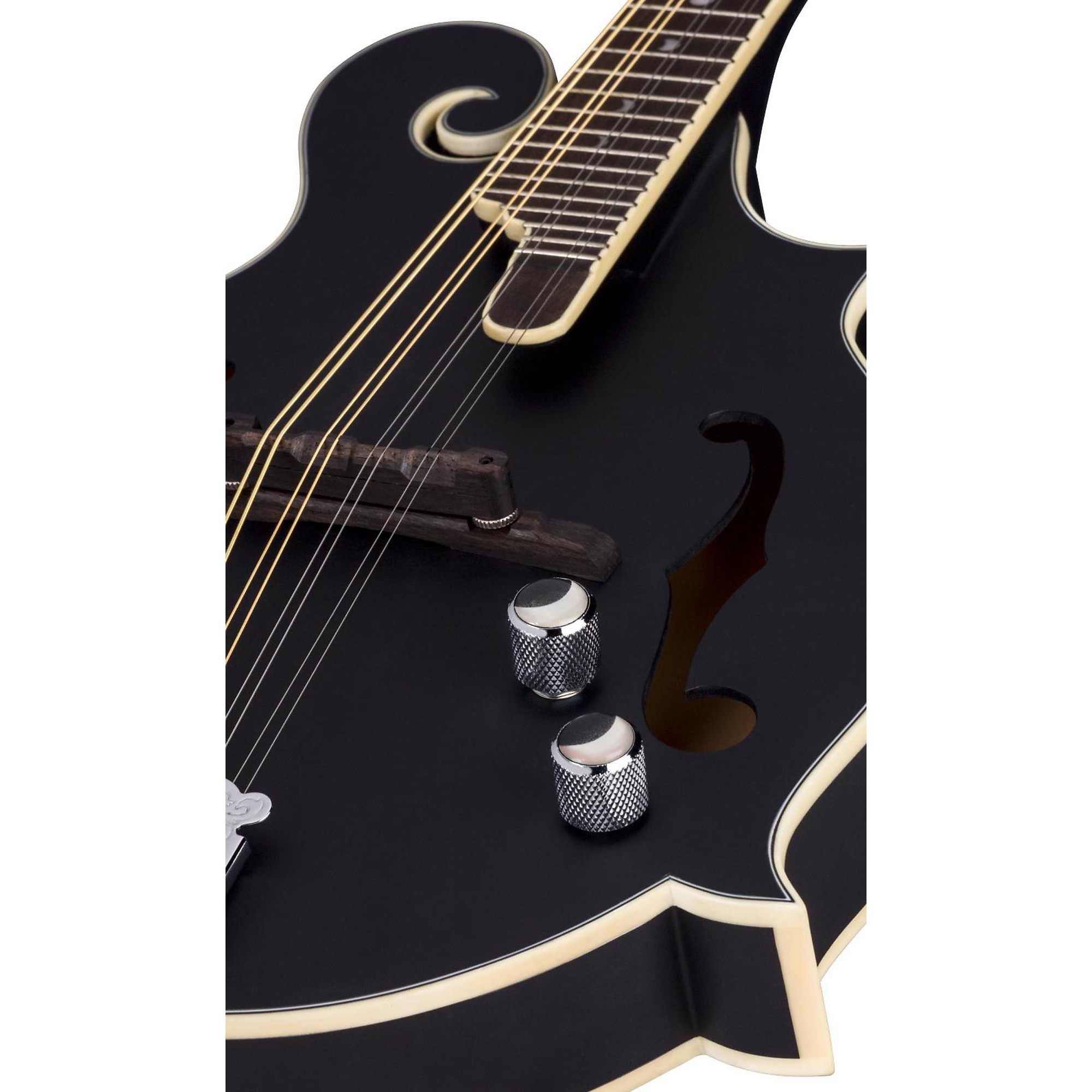 Luna moonbird store mandolin