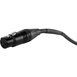 Open Box Livewire Advantage XLR Microphone Cable Level 1 100 ft. Black