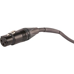Livewire Elite Quad XLR Microphone Cable 25 ft. Black