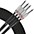 Livewire Advantage Interconnect Dual ... Livewire Advantage Interconnect Dual Cable 1/4" TS Male to 1/4" TS Male 10 ft. Black