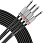 Livewire Advantage Interconnect Dual Cable 1/4" TS Male to 1/4" TS Male 10 ft. Black thumbnail
