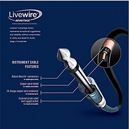 Livewire Advantage 8-Channel Snake D-sub to XLR 5 ft. Black