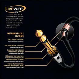 Livewire Elite 12g Speaker Cable 1/4" to 1/4" 3 ft. Black