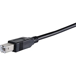 Livewire Essential USB 2.0 Data Cable 10 ft. Black