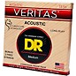 DR Strings Veritas - Perfect Pitch with Dragon Core Technology Light Acoustic Strings (13-56)