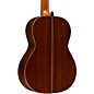 Alhambra 9 P Classical Acoustic Guitar Gloss Natural