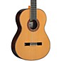 Alhambra 8 P Classical Acoustic Guitar Gloss Natural thumbnail