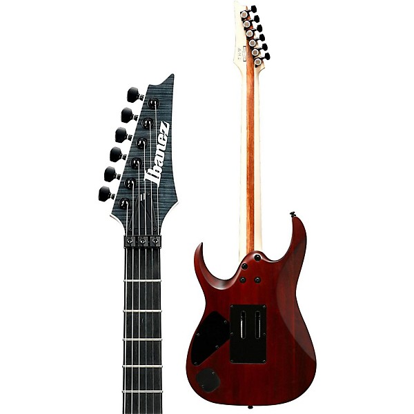 Open Box Ibanez Iron Label RGA Series RGAIX6FMT Electric Guitar Level 2 Transparent Gray 190839389008