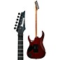 Open Box Ibanez Iron Label RGA Series RGAIX6FMT Electric Guitar Level 2 Transparent Gray 190839389008