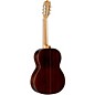 Alhambra 4 P Classical Acoustic Guitar Gloss Natural