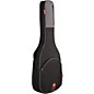 Epiphone DR-100 Acoustic Guitar Natural with Road Runner RR1AG Gig Bag