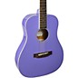 Stony River SRMD1 1/2 Size Mini Dreadnought Acoustic Guitar Purple thumbnail