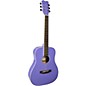 Stony River SRMD1 1/2 Size Mini Dreadnought Acoustic Guitar Purple