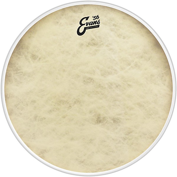 Evans EQ4 Calftone Bass Drum Head 16 in.