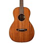 Breedlove Discovery Parlor MHSE Acoustic-Electric Guitar Natural thumbnail