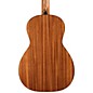 Breedlove Discovery Parlor MHSE Acoustic-Electric Guitar Natural