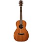 Breedlove Discovery Parlor MHSE Acoustic-Electric Guitar Natural