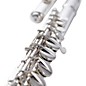 Wm. S Haynes Amadeus AF670 Alto Flute Straight and Curved Sterling Silver Headjoints