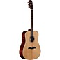 Open Box Alvarez AD610EFM Limited Edition Dreadnought Acoustic-Electric Guitar Level 2 Natural 888366003114