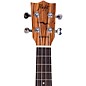 Flight DUC 525 Concert Ukulele Natural