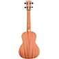 Flight NUC 310 Concert Ukulele Natural