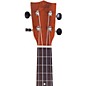 Flight NUC 310 Concert Ukulele Natural
