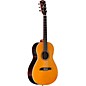 Open Box Alvarez RP270EVNT Parlor Acoustic-Electric Guitar Level 2 Vintage Tint 190839010698