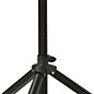 Ultimate Support TS-70 Speaker Stand 2-Pack with Musicians Gear Speaker Stand Bag