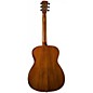 Bristol BM-16 000 Acoustic Guitar Natural