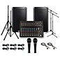 Alto Truesonic TS210 with Harbinger L1402FX PA System thumbnail