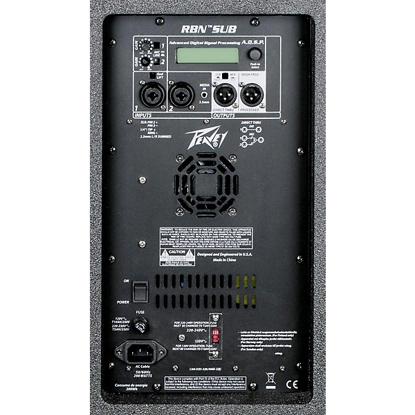 Peavey RBN 112 with RBN 215 Subwoofer PA System
