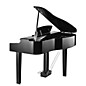 Kurzweil Kurzweil MPG200 Ebony Polish