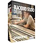 Steven Slate Audio Blackbird Studio Expansion for Trigger thumbnail