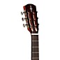 Open Box Alvarez AP66ESHB Parlor Acoustic-Electric Guitar Level 2 Shadow Burst 190839116734