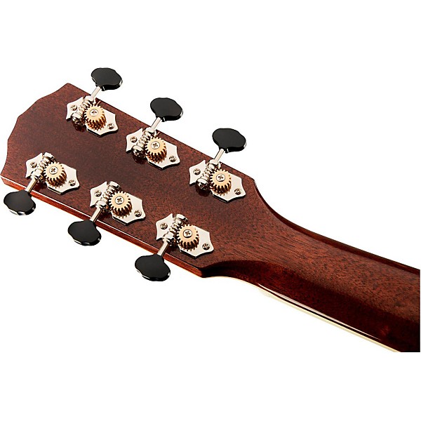 Fender Paramount Series PM-1 Limited Adirondack Dreadnought
