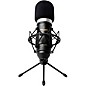 Marantz Professional MPM-1000 Studio Condenser Microphone thumbnail