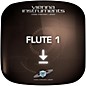 Vienna Symphonic Library Flute 1 Full Software Download thumbnail