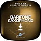 Vienna Symphonic Library Baritone Saxophone Upgrade to Full Library Software Download thumbnail