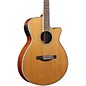 Open Box Ibanez AEG15II Acoustic-Electric Guitar Level 2 Natural 190839016126 thumbnail