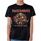 Iron Maiden <em>Book of Souls</em> Eddie T-Shirt Large thumbnail