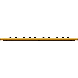 CME 25 Key Mobile Keyboard Controller Gold