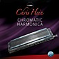 Best Service Chris Hein Harmonica