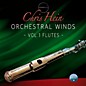 Best Service Chris Hein Orchestral Winds Vol 1 - Flutes