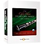 Best Service Chris Hein Orchestral Winds Vol 3 - Oboes thumbnail