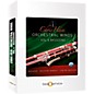 Best Service Chris Hein Orchestral Winds Vol 4 - Flutes thumbnail