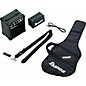 Ibanez IJRG220Z Electric Guitar Package Silver