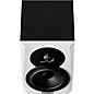 Open Box Dynaudio Acoustics LYD-5 Personal Reference Monitors Level 1